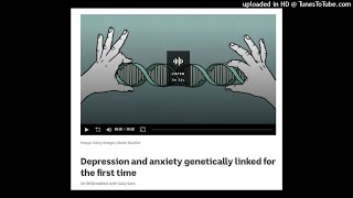 NBP's Prof. Eske Derks is also a world-leading researcher on genetic links to anxiety and depression