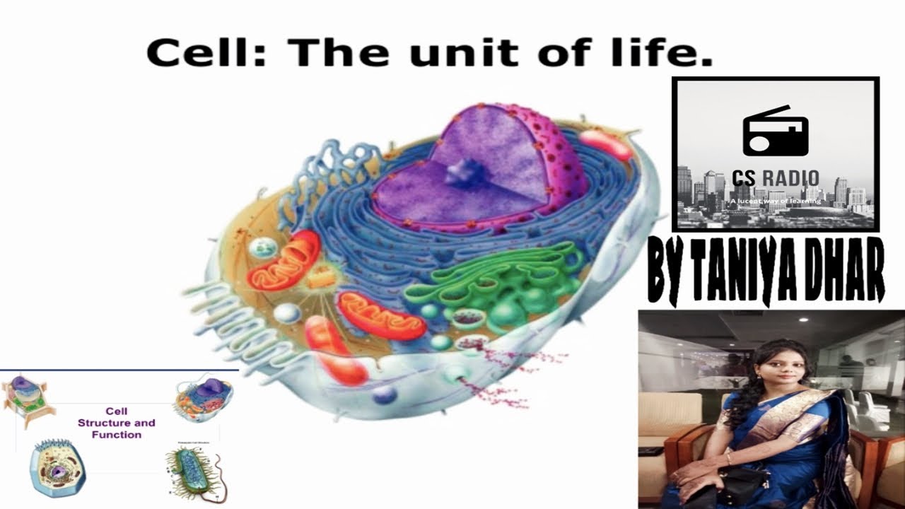 Biology Cell The Unit Of Life Class 11 Youtube