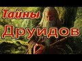 Тайны друидов. Магия природы.