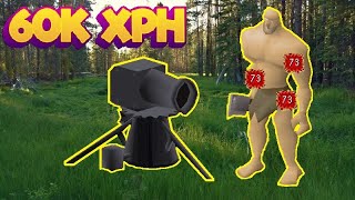 The New Best Cannon Spot For Low Hp Pureshill Giants Osrs
