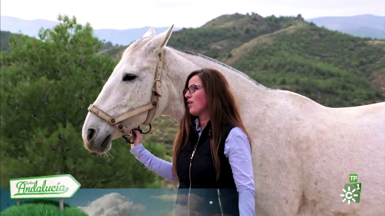 Destino Andalucía | El tesoro verde de Córdoba y la Sierra de Baza