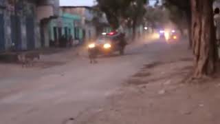 QARAX AY KU DHINTEEN 12 RUUX IN KA BADAN OO BAYDHABO KA DHACAY HD