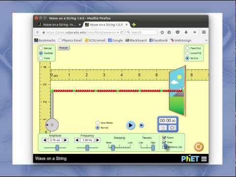 Wave on a String: Simulation