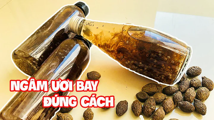 Top 14 hạt đười ươi ngâm nước nóng hay lạnh