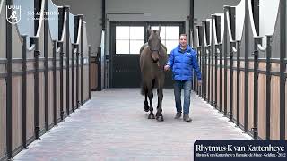 Rhytmus K van Kattenheye Z