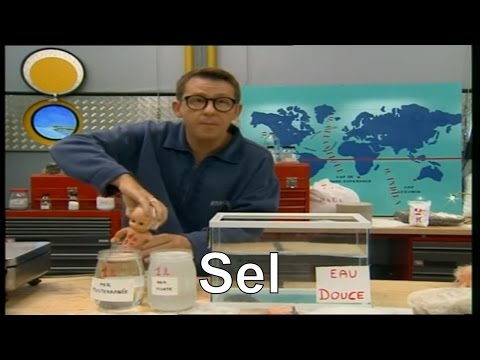 Vidéo: Qu'est-ce que le sel de base ?