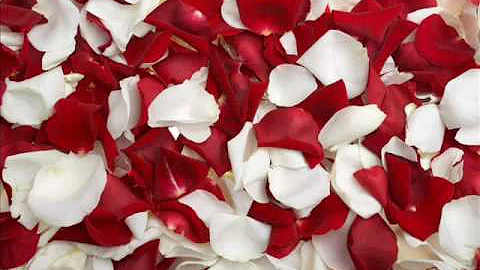 Theresa Schroeder ShekerFor the Roses