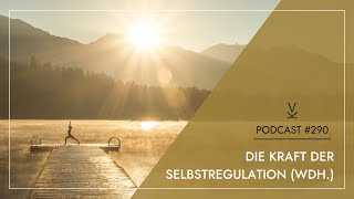 Die Kraft der Selbstregulation (Wdh.) // Podcast #290