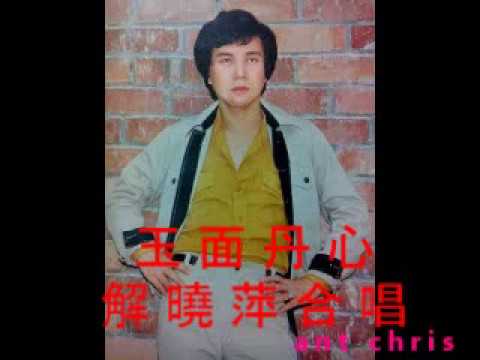 謝雷 解曉萍 玉面丹心