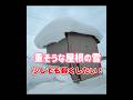 小屋の屋根の雪をかき落としてみた:2026年1月