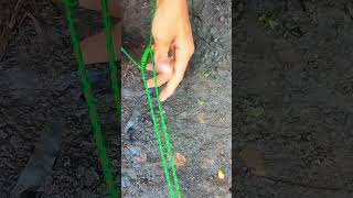 Sliding knot : Most useful for outdoor and camping