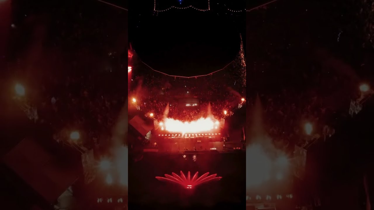 Sebastian Ingrosso A New Day Coming This Week Feat Celine Dion Sebastianingrosso Edm Dj