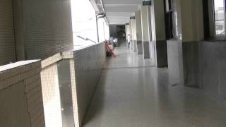 梧棲國中,20150921,104年度全國防災日9月21日正式演練,全國防災日,防災教育