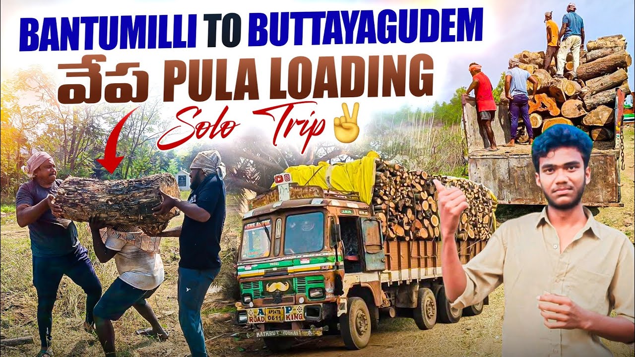 Bantumilli to Buttayagudem vepa pula loading #trendingshorts #travelvideo #travelblog 
