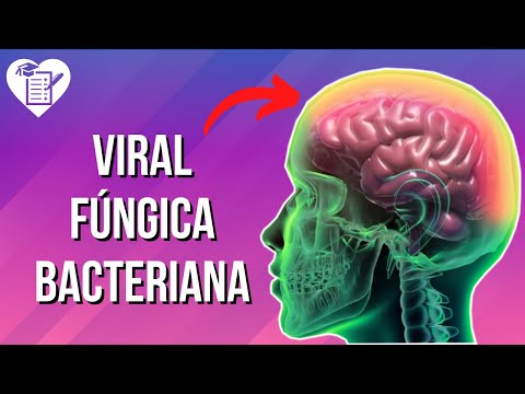 hqdefault - Meningite - Causas, diagnóstico e tratamento