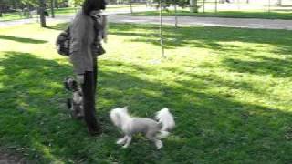 MVI_4511.AVI