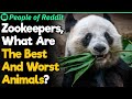 Zookeepers, What Are The Worst Animals To Work With? | People Stories #162