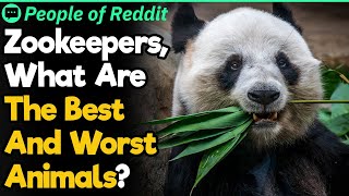 Wild Zookeeper Stories