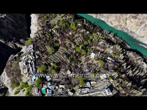 Zanskar Valley village terraces and green vegetation along the Zanskar River in Ladakh