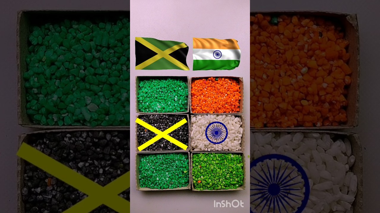 Eco-Friendly Rice Art 🎨 | Jamaica 🇯🇲 India 🇮🇳 Flag Fusion 🇮🇳🇯🇲