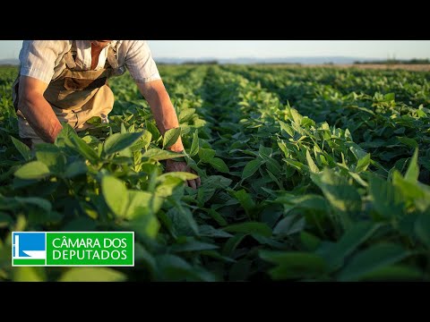 COMISSÃO DE AGRICULTURA, PECUÁRIA, ABASTECIMENTO E DESENVOLVIMENTO RURAL