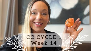 CC CYCLE 1 WEEK 14: Memory Work Ideas
