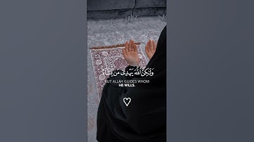 تلاوه هادئه بصوت ياسر الدوسري ||حالات قران كريم 💛|| قران كريم بصوت خاشع 🌿