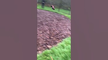 Arrma outcast 8s jumps