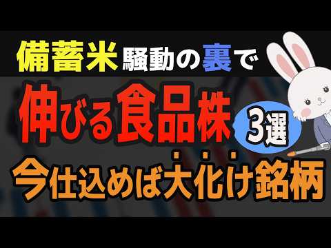 【緊急解説】「食品株」注目３選！日本騒然の米騒動！ニッスイ12%値上げ発表！食料危機で伸びるのは？