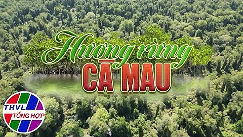 Chuyện kể Đất phương Nam: Hương rừng Cà Mau