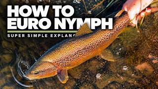 How I Euro Nymph a River Run (Step-by-Step)