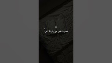 تلاوة هادئة تأخذك إلى عالم من الهدوء والسكينة بصوت الشيخ ماهر المعيقلي ♡ #ماهر_المعيقلي​ #قرآن