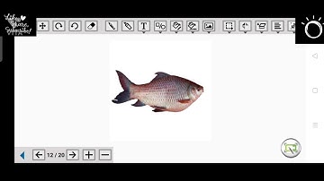 B.Sc.Part-3 || Zoology Practical || Spotting 1 to 5 ||Superclass- Pisces=Fishes#experimental #video