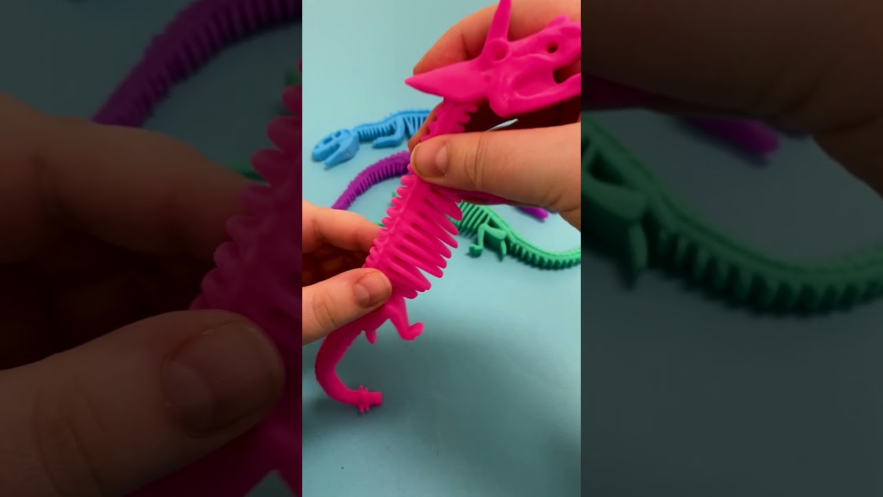 This Stretchy Dino Skeleton bends and stretches in every direction! 