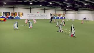 Camille Master Jww 8 April 2023 Qq8