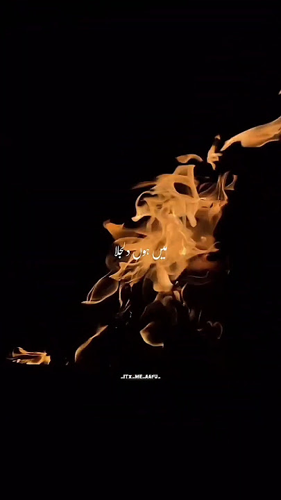 Tu Junooniyat Song Lyrics - #shorts #trending