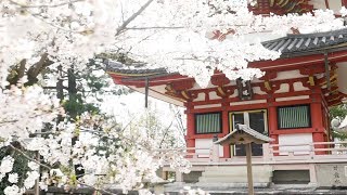Japan The Final Frontier