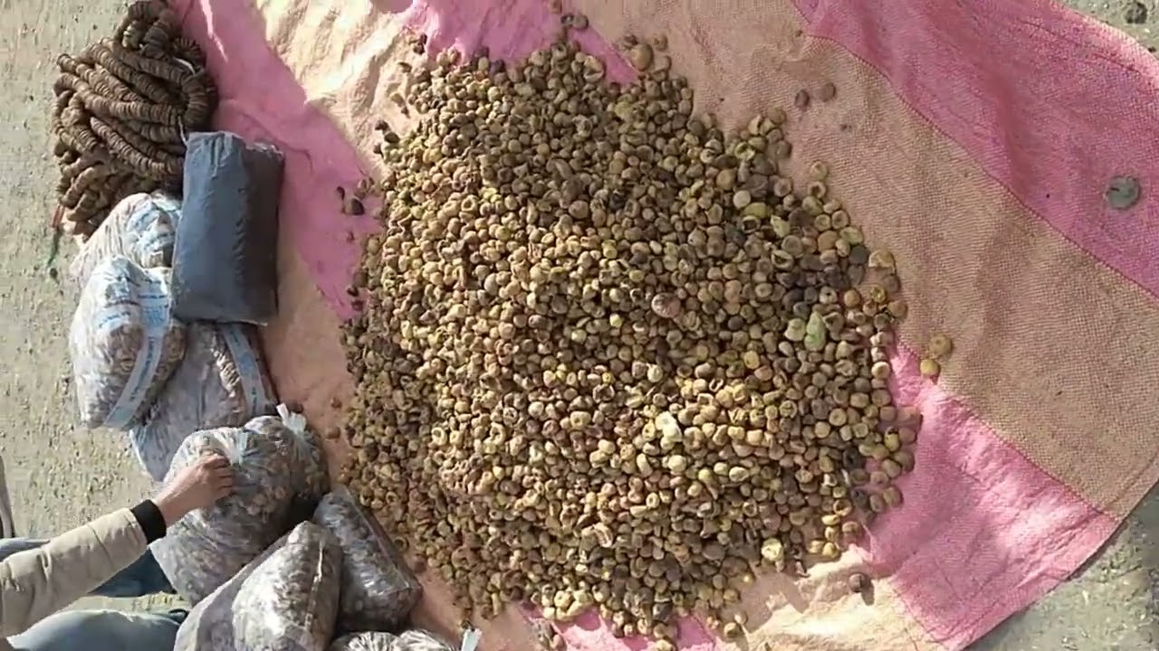 سوق مرنيسة تاونات @ الرحبة ديال الكرموس واللوز ...