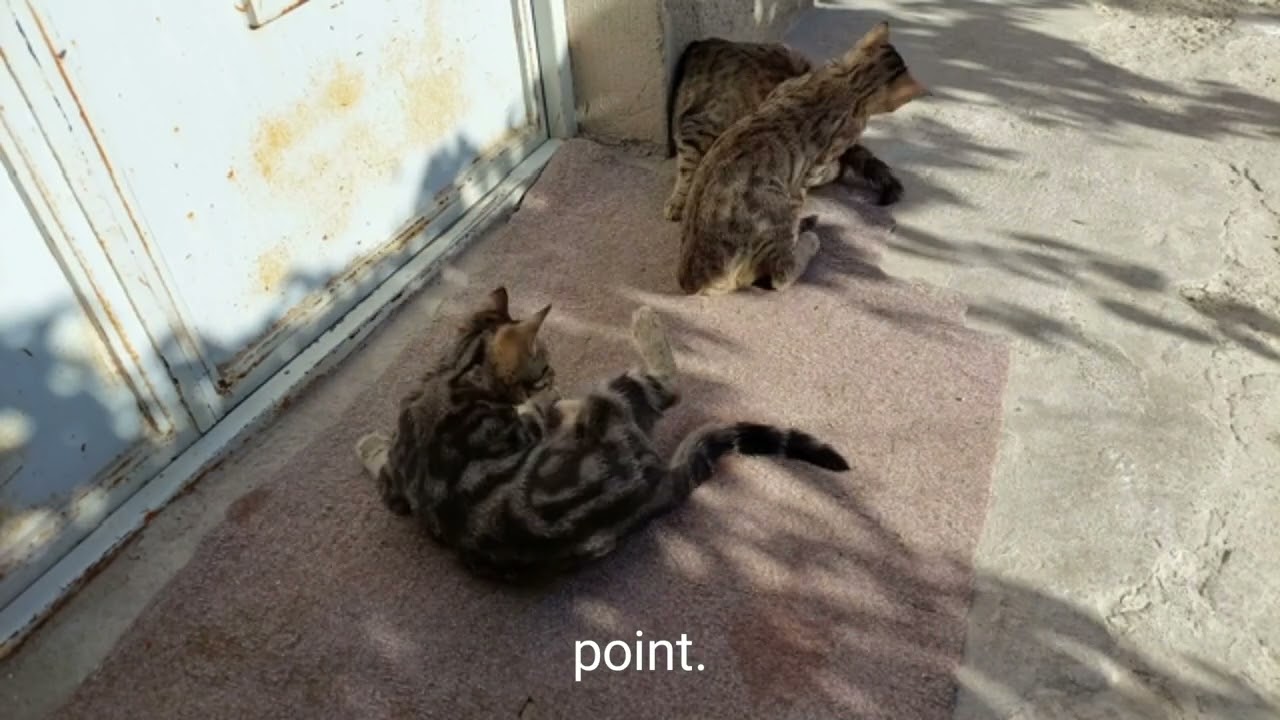 How to Trade ES (E‑mini S&P 500 futures) June 13, 2025 - Israel Strikes Iran - Premarket Checklist