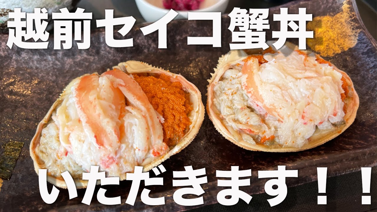 福井県丹生郡ランチ　越前セイコ蟹丼　いただきます！！　北陸グルメ　福井県グルメ