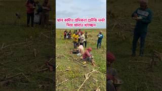 ধান কাটার শ্রমিকরা শুটকি ভর্তা দিয়ে খাবার খাচ্ছেন