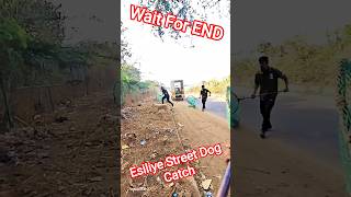 Tumkur City Pro Dog Catcher #catch #dog #streetdogrevival #ytviral #rescuedog