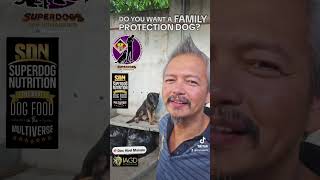 DO YOU WANT A FAMILY PROTECTION DOG? by Manalo K9 ● Meta Animals 112 views 7 days ago 10 minutes