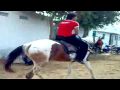 Mohammed khaja sirajuddin  horse riding rani  2