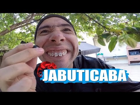 JACKSON FAIVE (MARCO LUQUE) -- JABUTICABA
