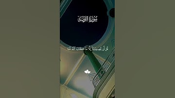 ماتيسر من (سورة التوبة) #اكتب_شي_تؤجر_عليه #المصحف #دويتو #اكسبلور #رآحة_نفسية_وطمأنينة