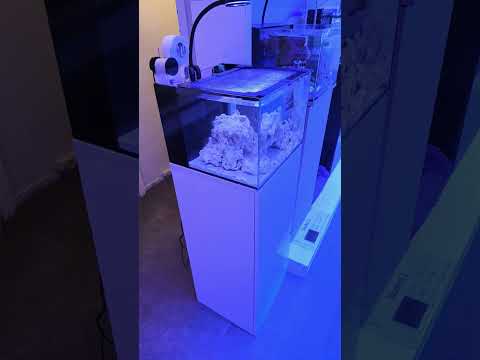 most people dont know about this aquarium product