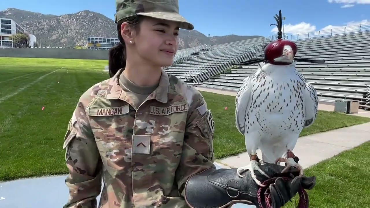 Meet the US Air Force Academy Falconry Team in Colorado Springs