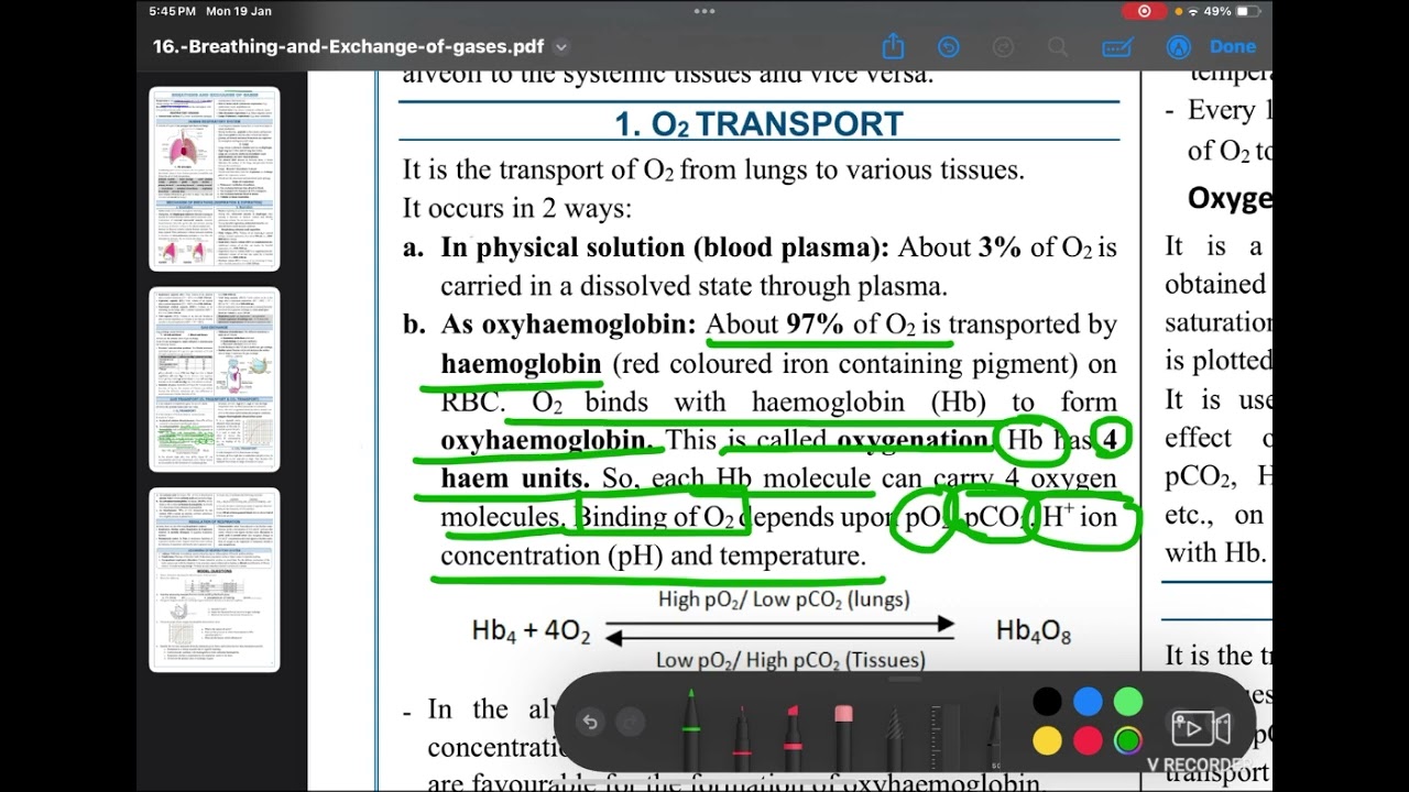 Breathing gas exchange part 6,O2 transport