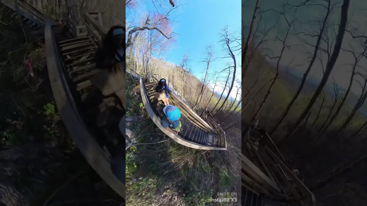 Stairs to the bottom of Amicaola falls. 